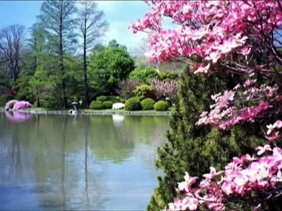 Omraam Mikhaël Aïvanhov  Laisser couler l'eau  de la vie