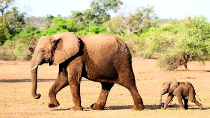 ‘Where Would We Be?’