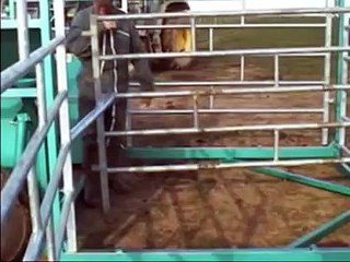 Parc de rassemblement mobile - www.agrodirect.fr