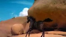 Wild Horses ~ I am special, beautiful, wonderful, powerful, unstoppable, sometimes miserable...