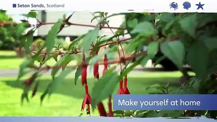 Seton Sands 2013 with Irish Ferries