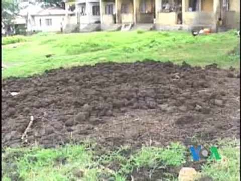 Успех простых технологий в развивающихся странах