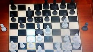 King capture chess game