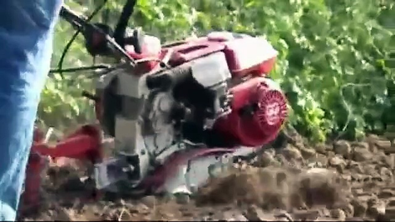 HONDA F 560 SECUNDA PARTE