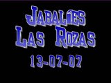 Jabalíes Las Rozas de Madrid Calle Micenas
