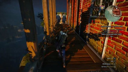 The Witcher 3: Wild Hunt Golem Fight