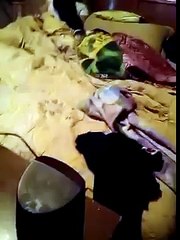 MATAN A PEPPA PIG EN UN MEME Y LE ROMPEN EL CORAZÓN A ESTA LINDA NIÑITA XD