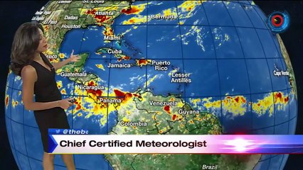 WPLG Local 10 News 11pm - 7/23/15 Montage