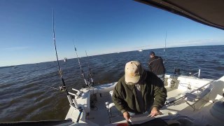 Lake Michigan Salmon Fishing 2015