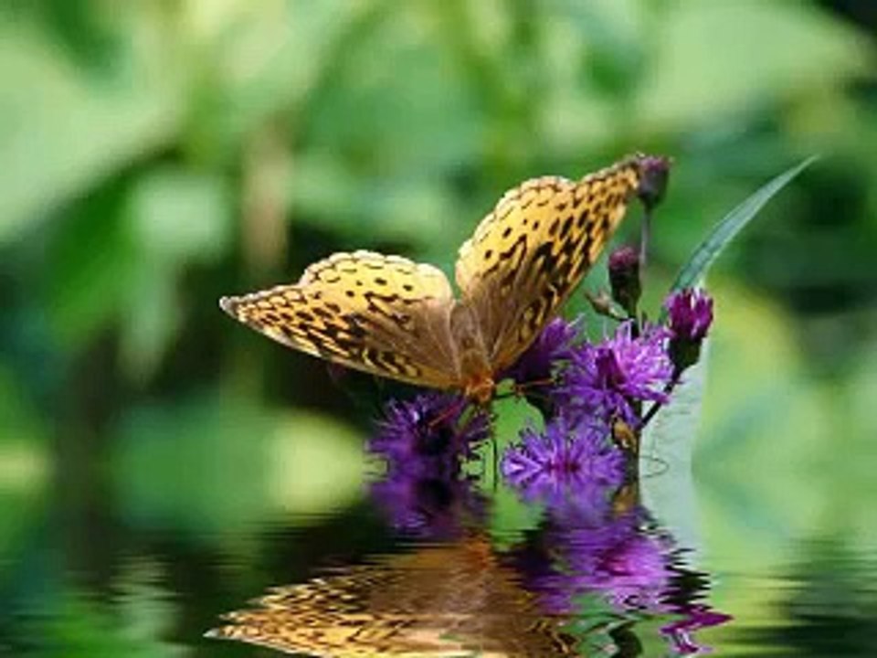 Amazing Love - Hillsong - Michelle Fragar