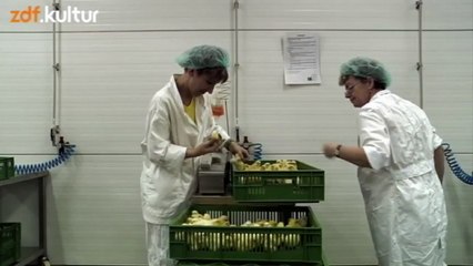 Guten Appetit Teil 8 - Hühner Massentierhaltung