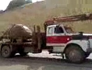 Scientists Found World’s Largest Tortoise