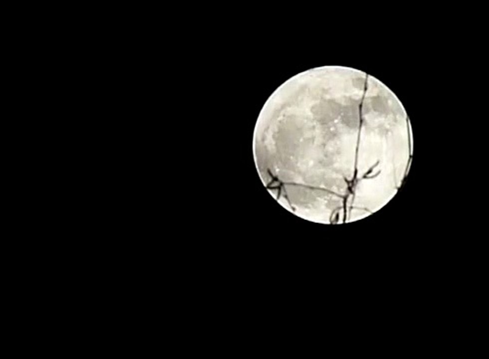 Moon over Munich 19.03.2011 FZ 38 / 35