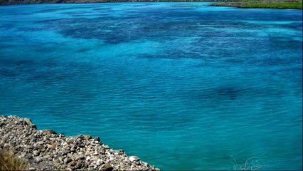 Galapagos (White Squall)---Jeff Rona