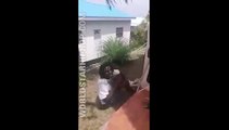 Saint Lucian Thief Gets Beat With Tree Branches After Getting Caught Stealing!