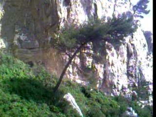 Marseille Le 16/04/2007 Calanque Sugiton