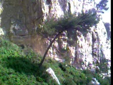 Marseille Le 16/04/2007 Calanque Sugiton