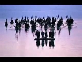 Vitas / MV-Angel without the wing