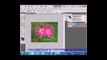 Photoshop CS6 Tutorial Making Selections Lesson 7.2 Group Employee Training