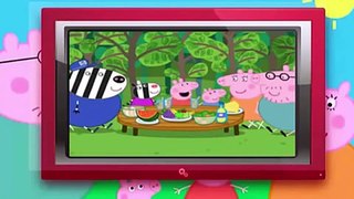 Świnka Peppa Miś na pikniku bajki dla dzieci po polsku