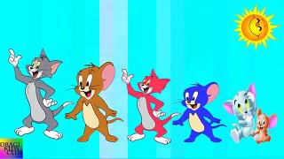 Finger Family Tom and Jerry | Tom and Jerry Nursery Rhymes Songs for Children and Babies