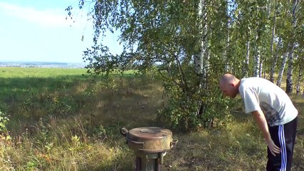 Что это странное в лесу