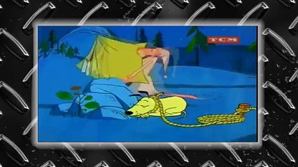 LA PANTERA ROSA ♦ Noche de Insomnio ♦ Audio Latino   Calidad