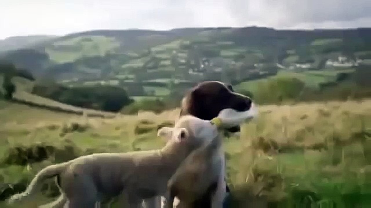 Это видео тронуло меня до слез!!!