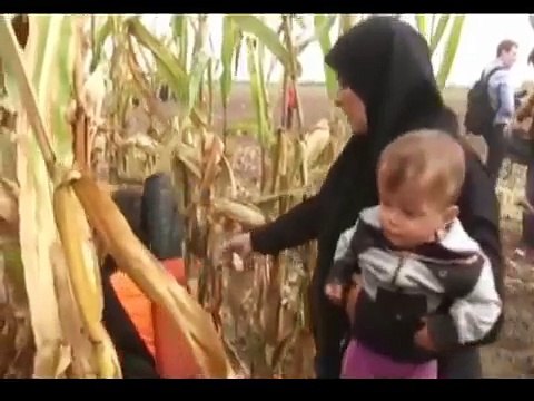 HUNGARY magyarország algerie egypt syria maroc tunisie germany