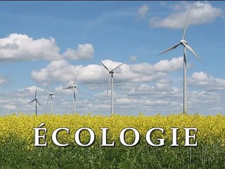 ÉCOLOGIE - "Construisons une ville verte" jardiniers rebelles