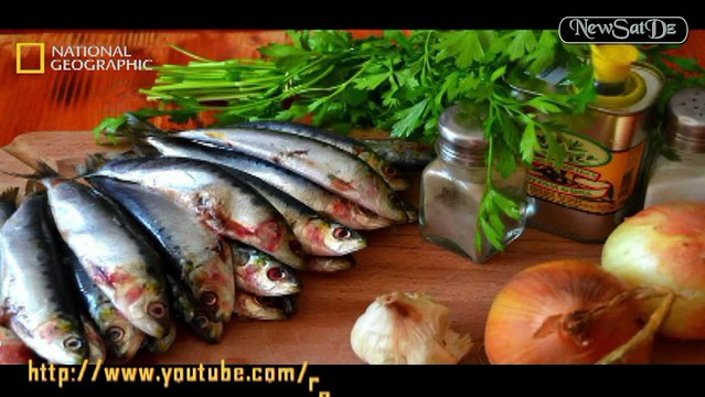 Rais - DRS MDN ANP FLN APC CN APN ENTV BEUR TV Dz KBC Présidence - Chéraga Alger Algérie (NewSatDz)