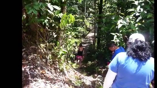 Salto Angel, Canaima, Venezuela.
