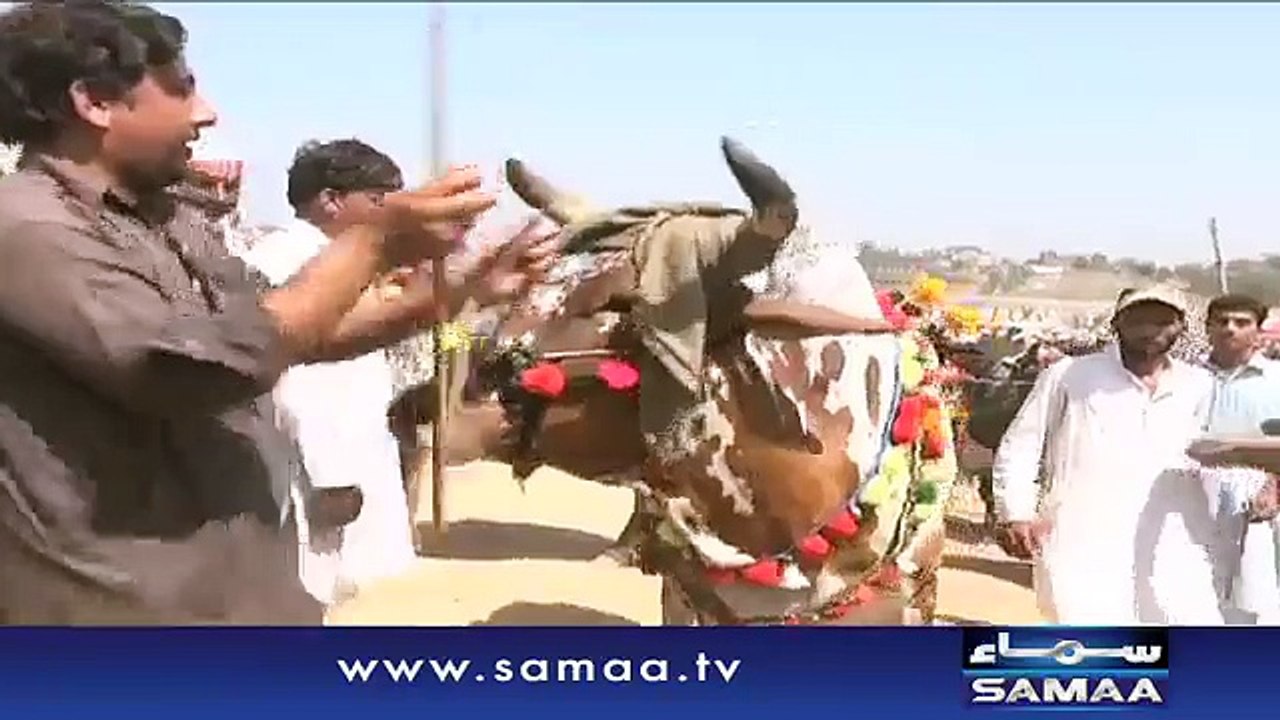 100 Rupe Mian Dabang Khan Ke Saath Selfie Video Must Watch