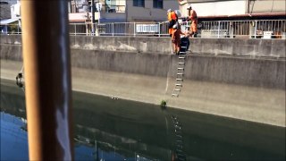川に落ちた猫を救助 大阪 To rescue the cat in Osaka,Japan