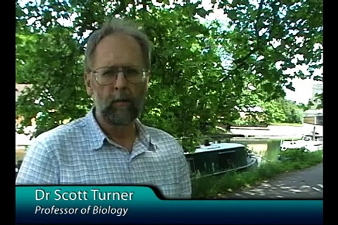 Physics of Life - Physics of Rowing