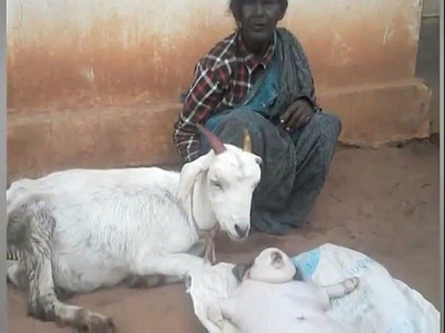 ⁣When Veterinary Science seemed Helpless and Shocked