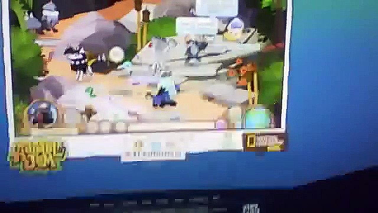 ANIMAL JAM/wild cats but i come in with a wolf/love