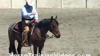 Horses That Spook - What To Do