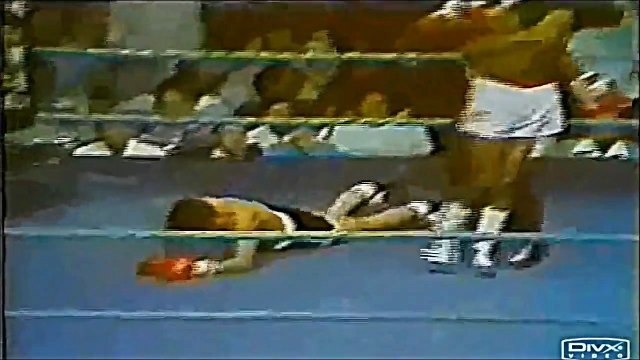 Top 10 Hardest Punchers in Boxing (haNZAgod)