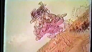 1502_Snack BUGLES funny war cartoon vintage commercials_TV ads