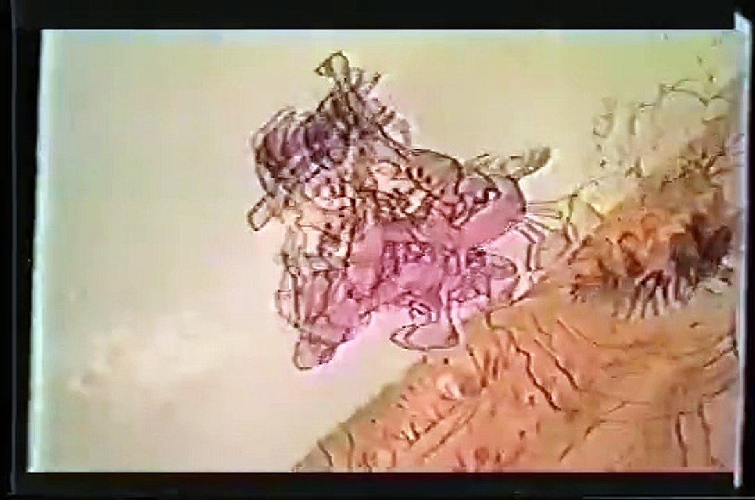 1502_Snack BUGLES funny war cartoon vintage commercials_TV ads