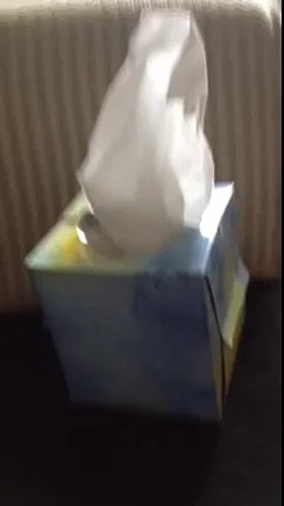 POKING A TISSUE BOX!!!