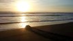 Green sea turtle returns to ocean after laying eggs