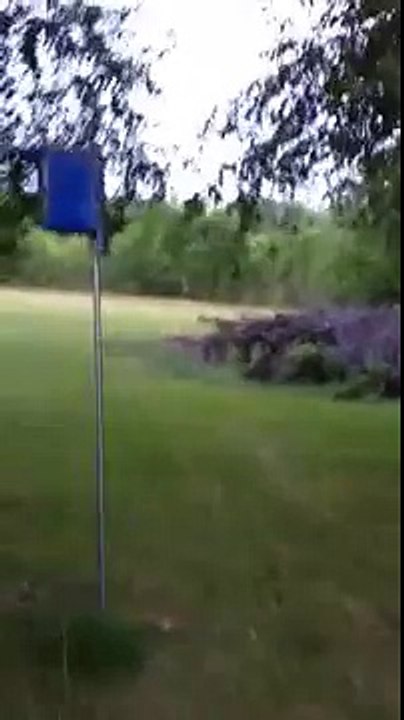 Backyard Deer Hunting