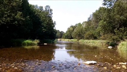 Fishing for Chubs