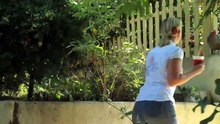 The Red, White, and Green Scene: Backyard Chickens in Los Angeles