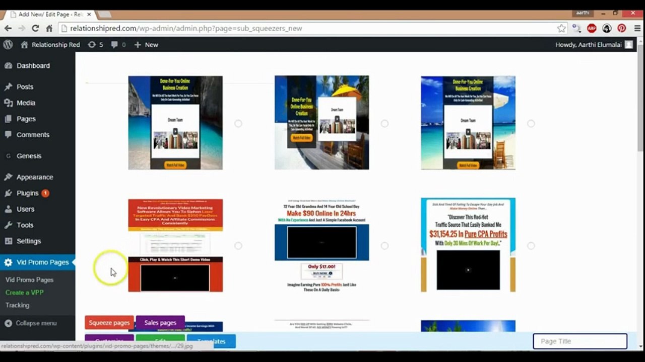 Vid Promo Pages review
