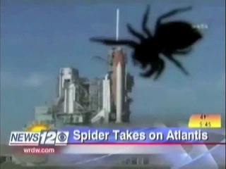 WRDW likes Spiders! Newsroom Bloopers!