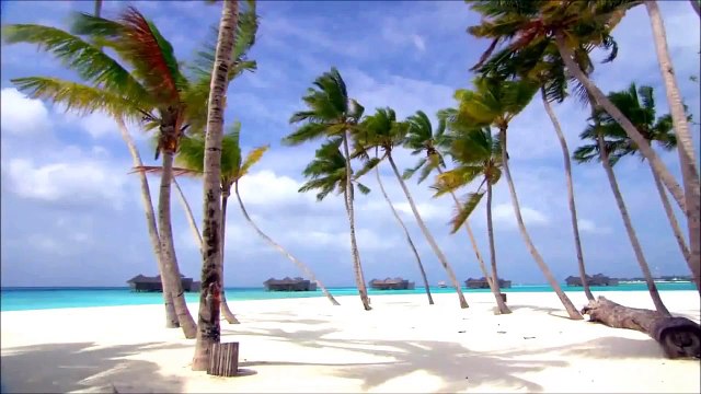 Chillout & Downtempo Music ♫ Exist - Mind at Peace ♫