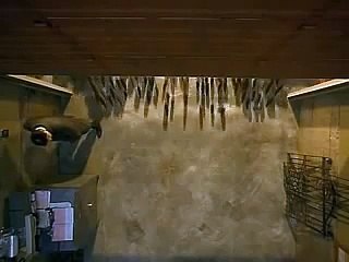 Willard (2003) - Trailer